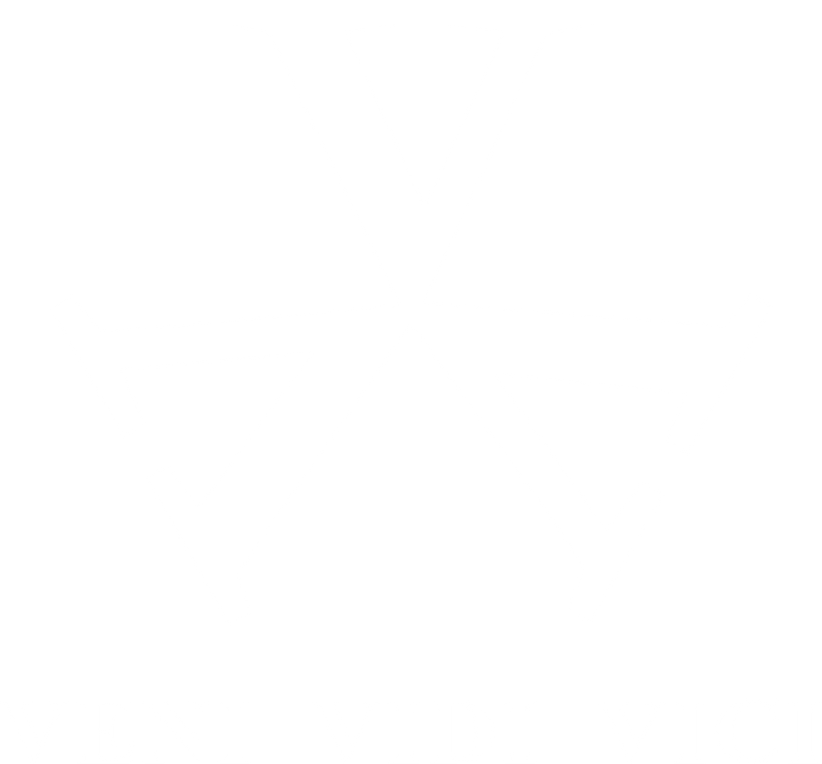VENI VIDI VICI 